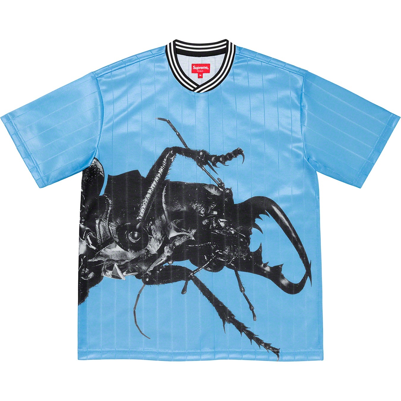 Beetle Soccer Top view 7